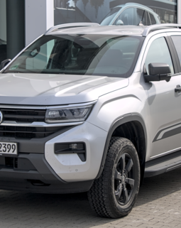 Thumb amarok south